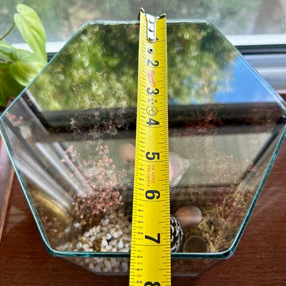 Vintage Terrarium with Moss Composition 6" Glass Planter Decor - Picture 12 of 13